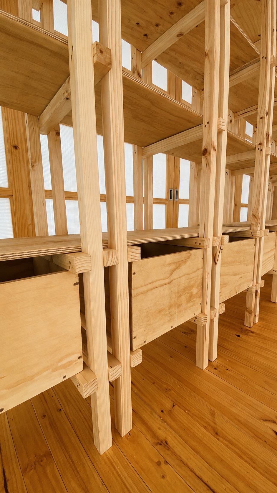 Dojo Komorebi