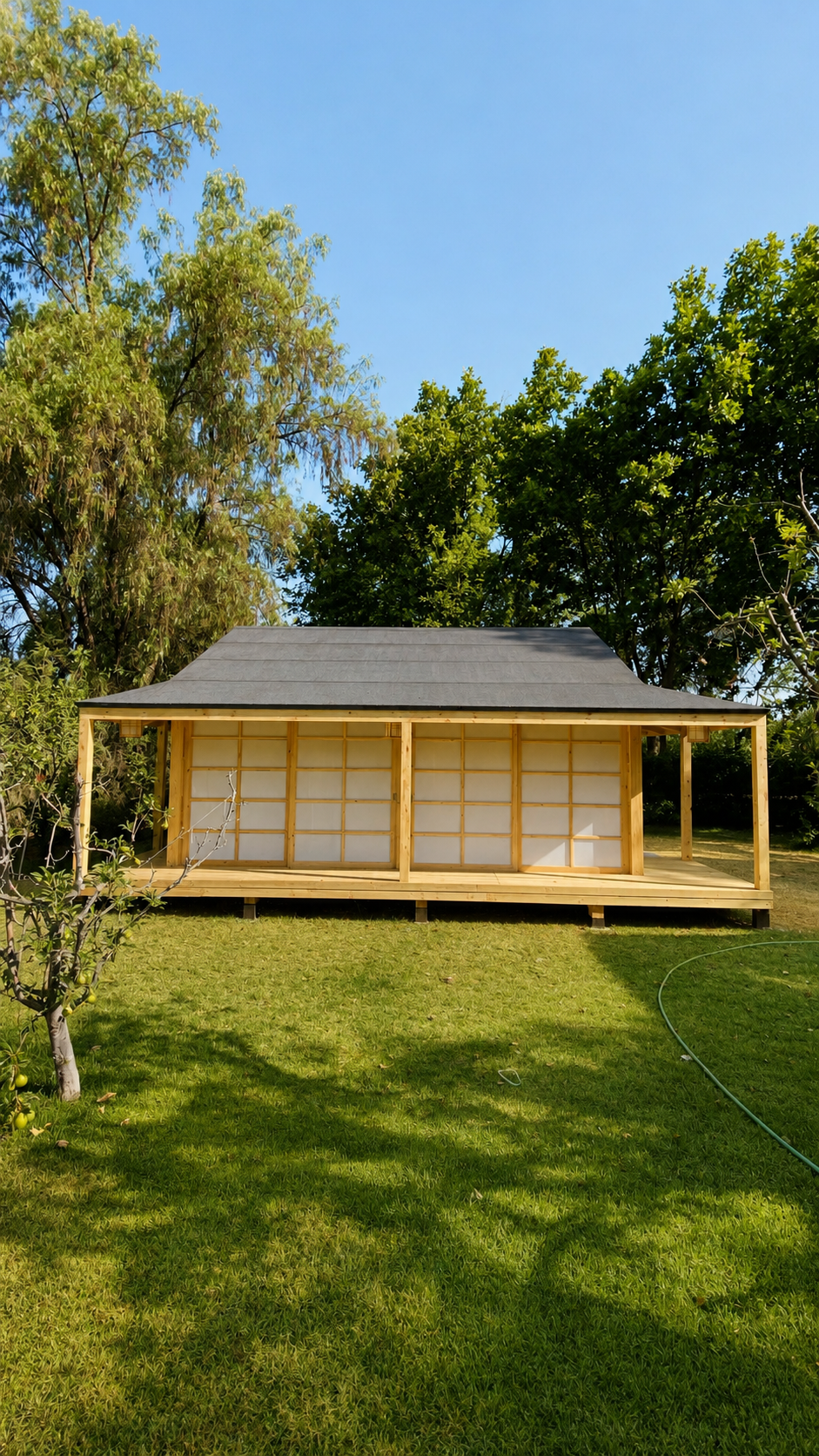 Dojo Komorebi