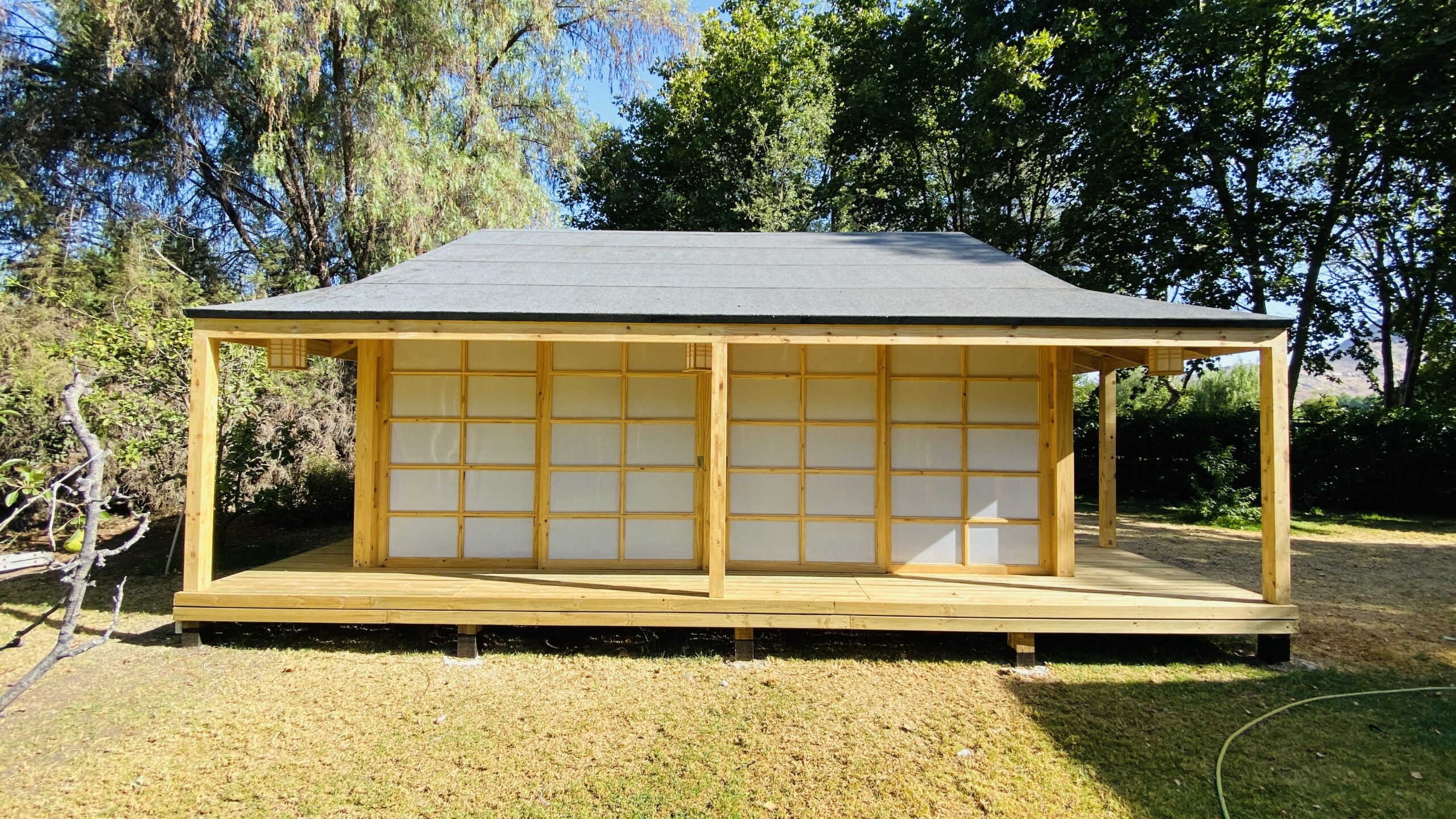 Dojo Komorebi